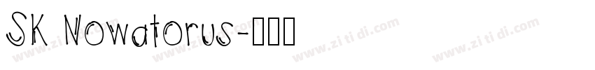 SK Nowatorus字体转换
